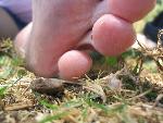 Thumbnail Image, Click to Enlarge thumb_IMG_4377.JPG