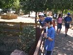 Thumbnail Image, Click to Enlarge thumb_IMG_4390.JPG