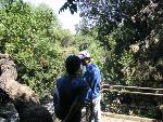 Thumbnail Image, Click to Enlarge thumb_IMG_4400.JPG