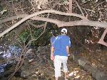 Thumbnail Image, Click to Enlarge thumb_IMG_4403.JPG