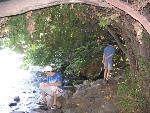 Thumbnail Image, Click to Enlarge thumb_IMG_4404.JPG