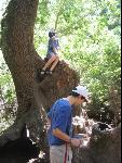 Thumbnail Image, Click to Enlarge thumb_IMG_4412.JPG