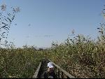 Thumbnail Image, Click to Enlarge thumb_IMG_0370.JPG