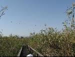Thumbnail Image, Click to Enlarge thumb_IMG_0371.JPG