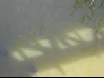 Thumbnail Image, Click to Enlarge thumb_IMG_0375.JPG