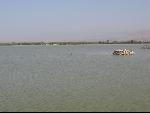 Thumbnail Image, Click to Enlarge thumb_IMG_0383.JPG