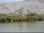 Thumbnail Image, Click to Enlarge thumb_IMG_0386.JPG