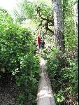 Thumbnail Image, Click to Enlarge thumb_IMG_0970.JPG