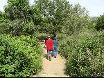 Thumbnail Image, Click to Enlarge thumb_IMG_0972.JPG