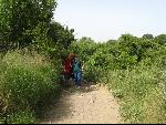 Thumbnail Image, Click to Enlarge thumb_IMG_0973.JPG
