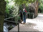 Thumbnail Image, Click to Enlarge thumb_IMG_0982.JPG