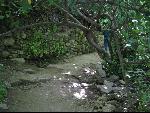 Thumbnail Image, Click to Enlarge thumb_IMG_0993.JPG