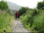 Thumbnail Image, Click to Enlarge thumb_IMG_1016.JPG