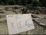 Thumbnail Image, Click to Enlarge thumb_IMG_1019.JPG