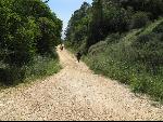 Thumbnail Image, Click to Enlarge thumb_IMG_0910.JPG