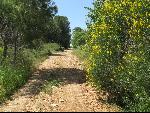 Thumbnail Image, Click to Enlarge thumb_IMG_0920.JPG