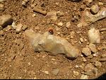 Thumbnail Image, Click to Enlarge thumb_IMG_0926.JPG