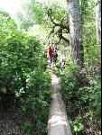 Thumbnail Image, Click to Enlarge thumb_IMG_0970.JPG