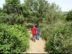 Thumbnail Image, Click to Enlarge thumb_IMG_0972.JPG