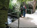 Thumbnail Image, Click to Enlarge thumb_IMG_0981.JPG