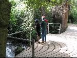 Thumbnail Image, Click to Enlarge thumb_IMG_0982.JPG