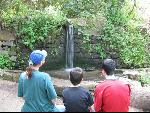 Thumbnail Image, Click to Enlarge thumb_IMG_1004.JPG