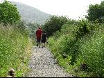 Thumbnail Image, Click to Enlarge thumb_IMG_1016.JPG
