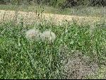 Thumbnail Image, Click to Enlarge thumb_IMG_0921.JPG