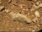 Thumbnail Image, Click to Enlarge thumb_IMG_0926.JPG