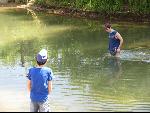 Thumbnail Image, Click to Enlarge thumb_img_1071.jpg