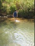 Thumbnail Image, Click to Enlarge thumb_img_1065.jpg