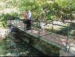 Thumbnail Image, Click to Enlarge thumb_IMG_1650.JPG