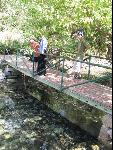 Thumbnail Image, Click to Enlarge thumb_IMG_1651.JPG