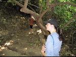 Thumbnail Image, Click to Enlarge thumb_IMG_1658.JPG