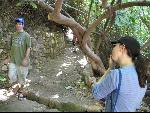 Thumbnail Image, Click to Enlarge thumb_IMG_1659.JPG