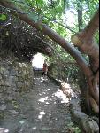 Thumbnail Image, Click to Enlarge thumb_IMG_1660.JPG