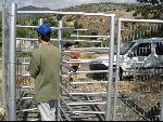 Thumbnail Image, Click to Enlarge thumb_IMG_1674.JPG