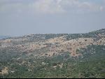 Thumbnail Image, Click to Enlarge thumb_IMG_1642.JPG