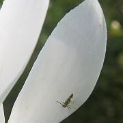 IMG_2160b