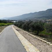 IMG_2135