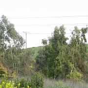 IMG_2142
