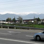 IMG_2146