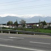 IMG_2147