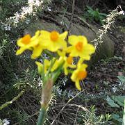 IMG_2009
