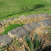 IMG_2014