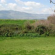 IMG_2024