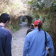IMG_1950