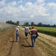 IMG_2374