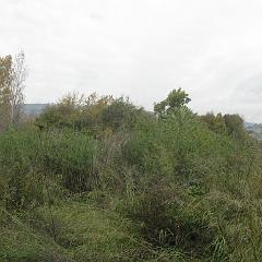 IMG_3037