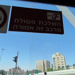 IMG_1463